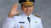 gubernur riau