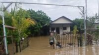LANGGANAN BANJIR langganan banjir