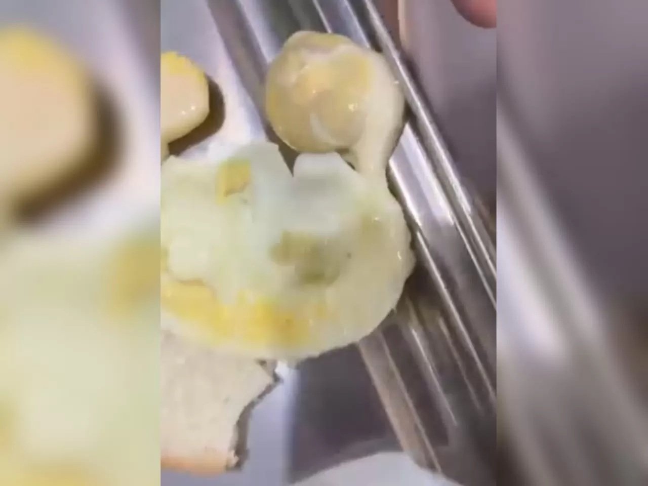 telur mbg berbelatung