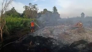 kebakaran lahan kobar