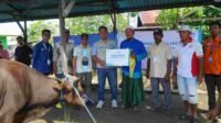 Simbolis Penyerahan Hewan Kurban YBM PLN di Tinggiran Baru