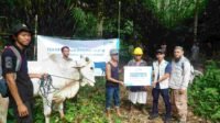 Penyerahan Hewan Kurban YBM PLN di Dusun Pabaan