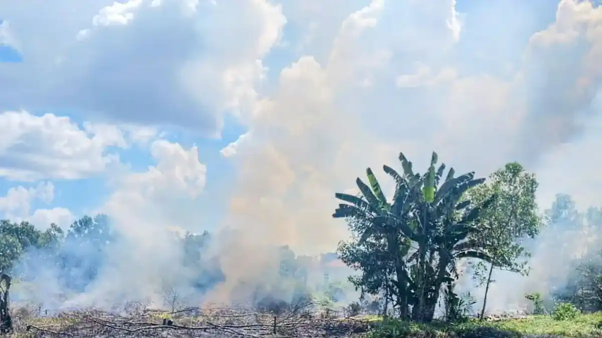 kebakaran lahan