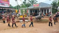 salah satu ritual tiwah