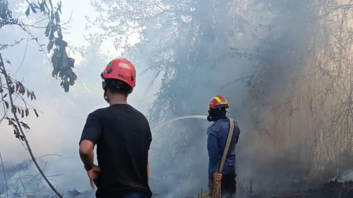 kebakaran lahan di kawasan wengga metropolitan