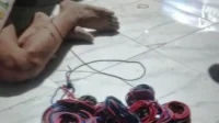 maling kabel maling kabel