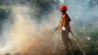 salah satu aksi adam saat ikut turun memadamkan lahan yang terbakar