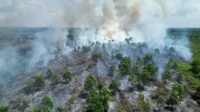 kebakaran-hutan-dan-lahan-tampak-dari-udara kebakaran hutan dan lahan tampak dari udara