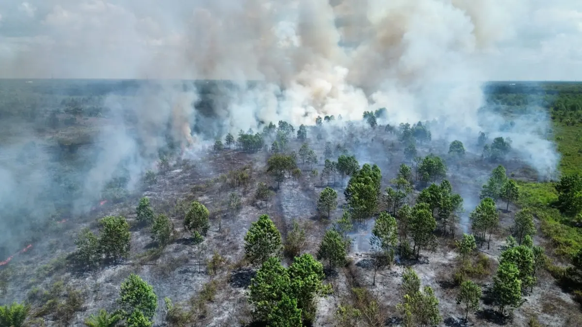 kebakaran hutan dan lahan tampak dari udara