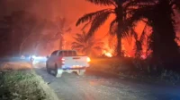 lahan yang kembali terbakar