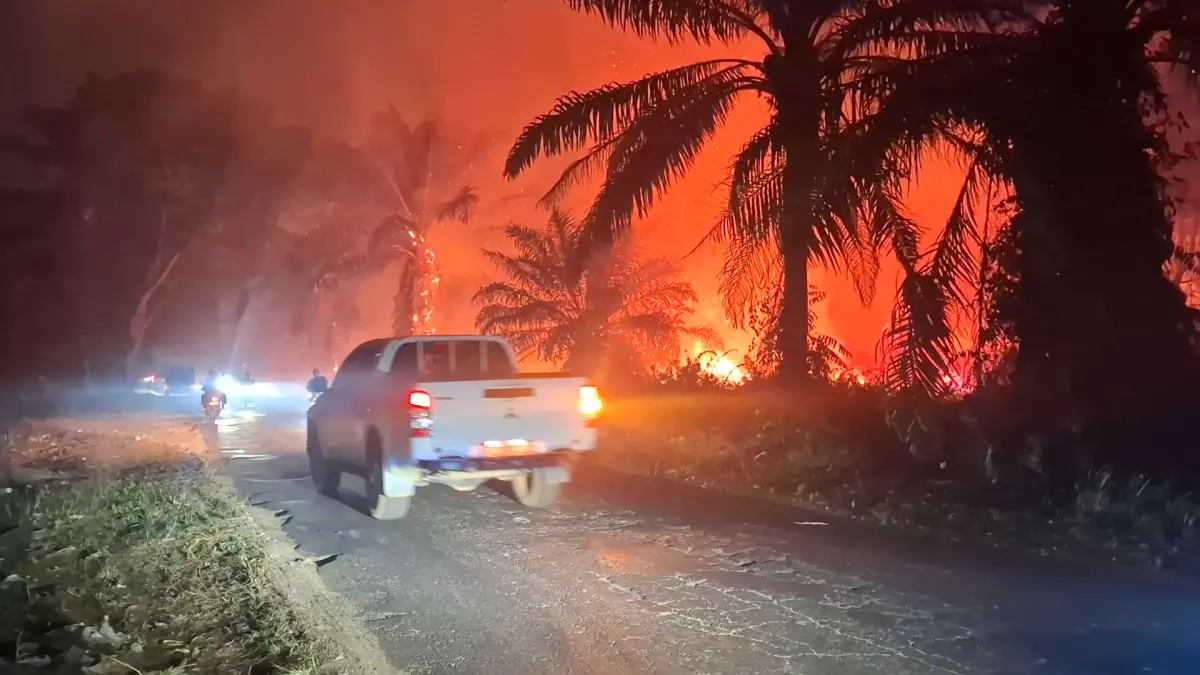 lahan yang kembali terbakar