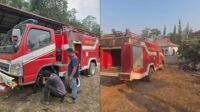 damkar lamandua hidup lagi 2