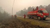 Damkar Padamkan Api Jalur Listrik