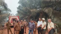 bupati kotim halikinnor